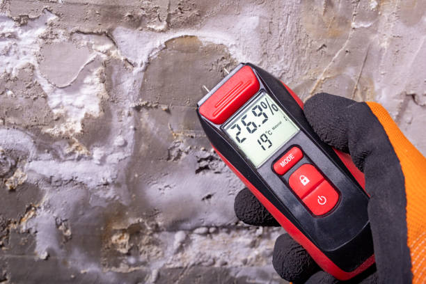 Best Industrial Mold Remediation in Amerin Nyon, CA