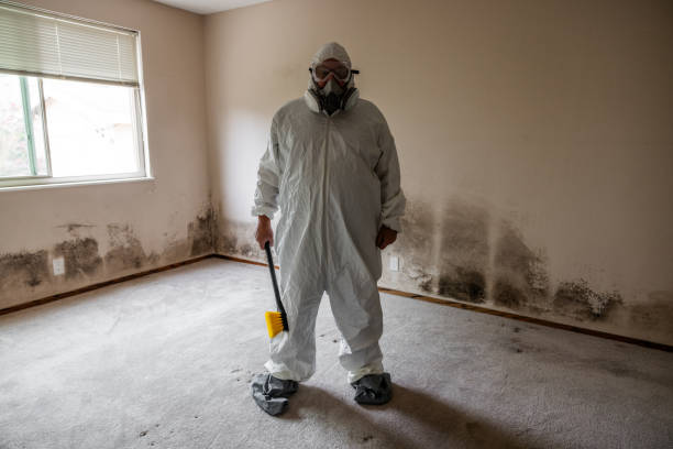 Best Crawl Space Mold Remediation in Amerin Nyon, CA